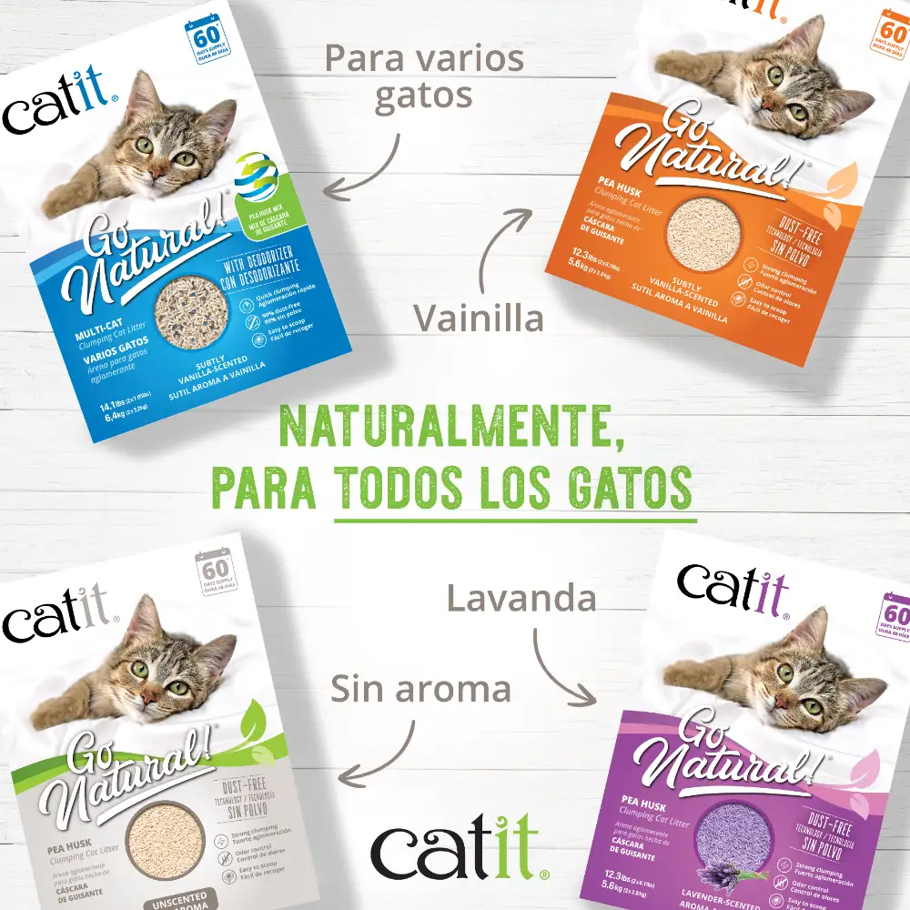 Imagen del producto 8