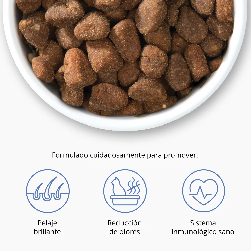 Imagen del producto 12