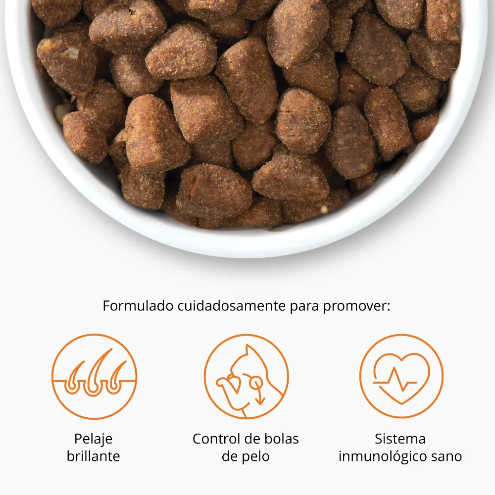 Imagen del producto 11