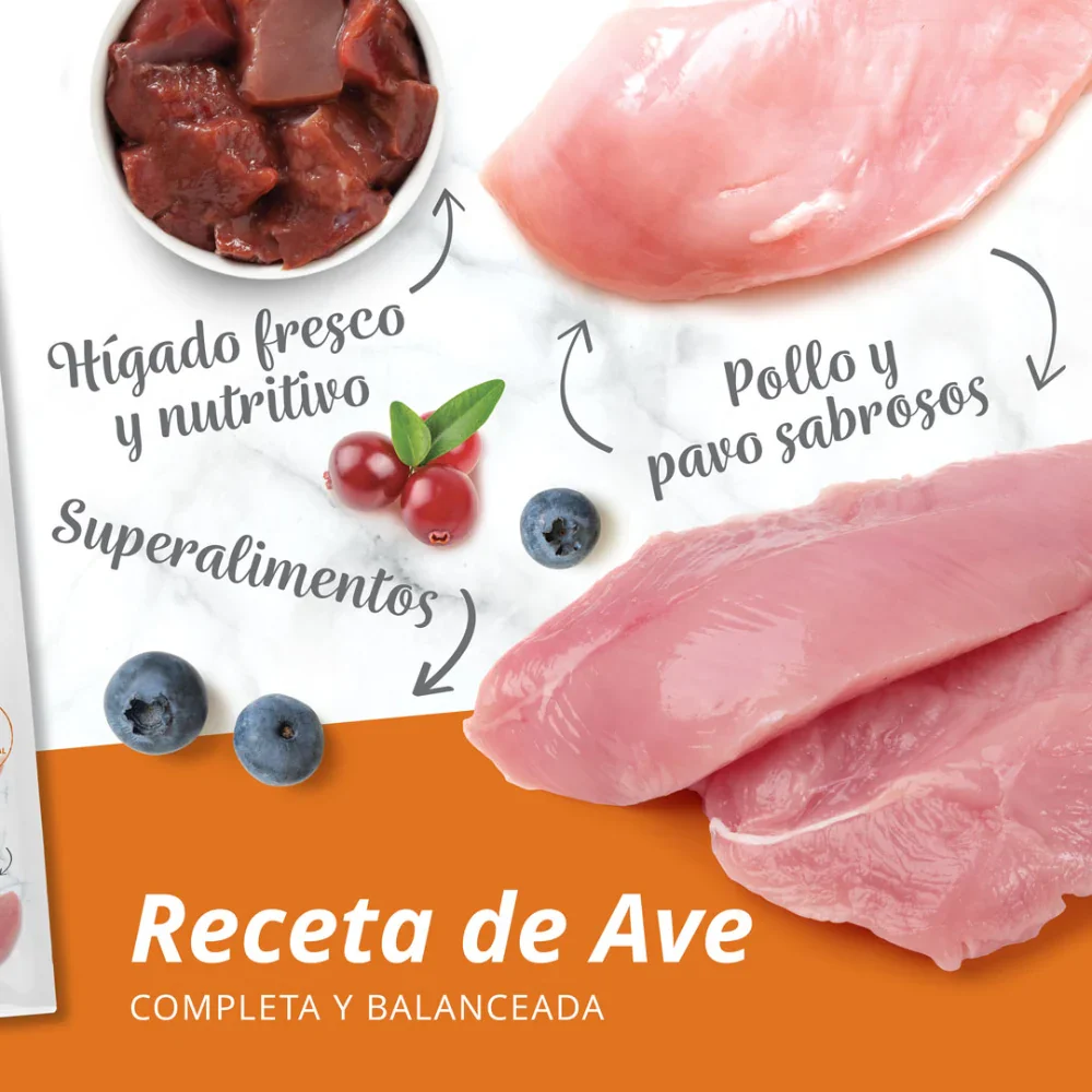 Imagen del producto 13