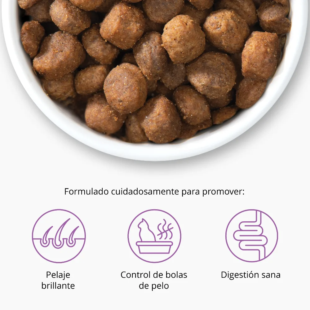 Imagen del producto 11