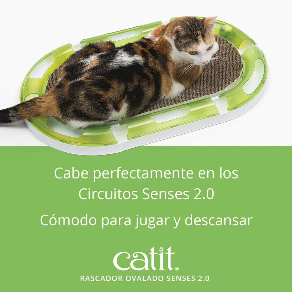 Imagen del producto 4