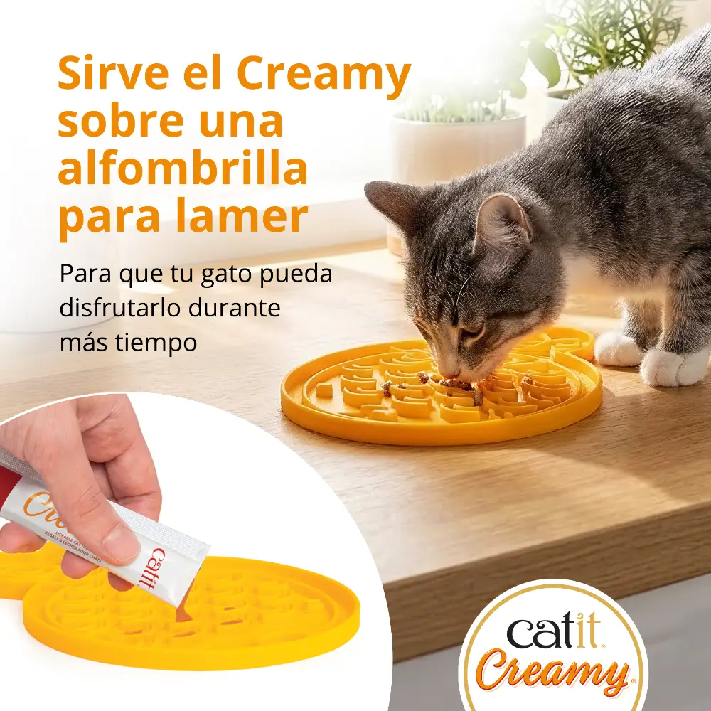 Imagen del producto 10