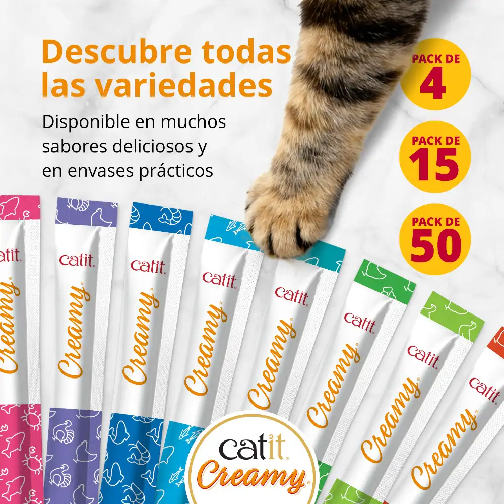 Imagen del producto 11