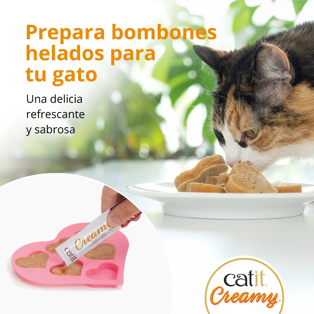 Imagen del producto 8