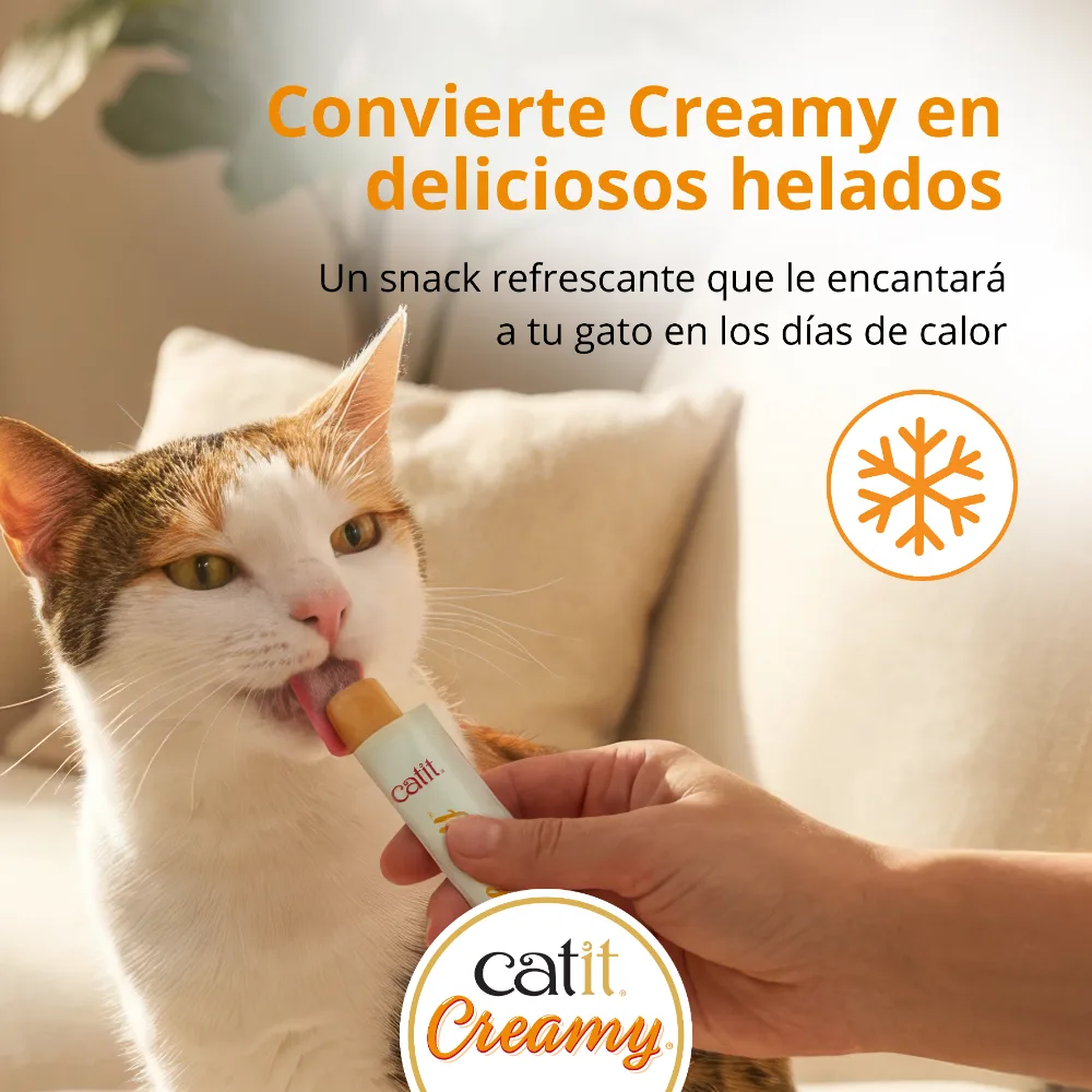 Imagen del producto 9