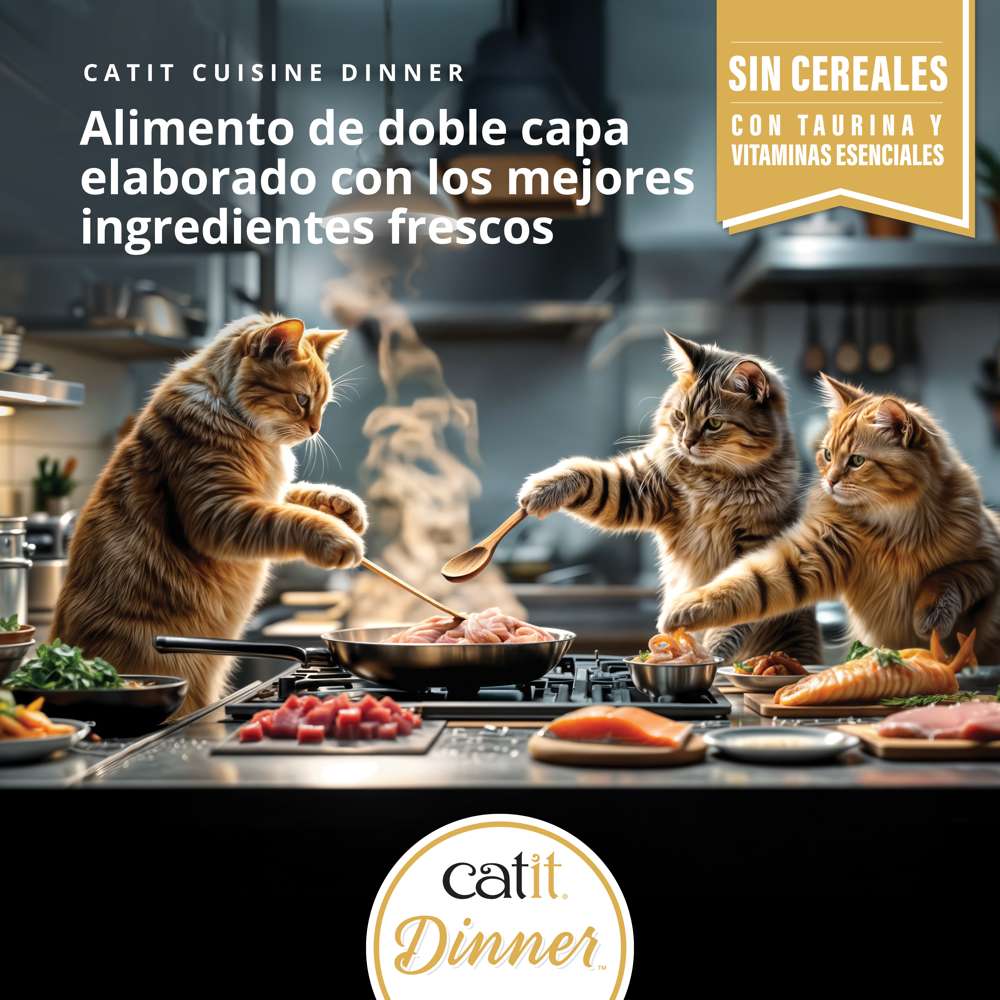 Imagen del producto 8